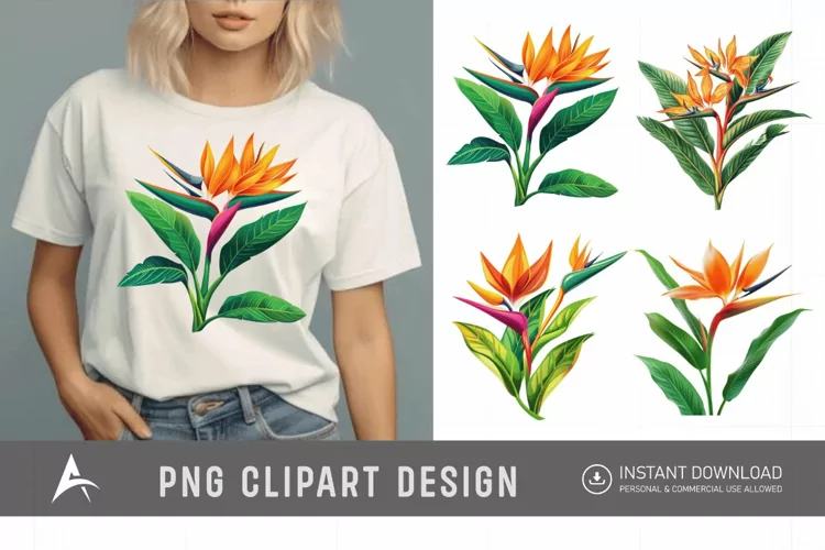 Watercolor Heliconia Flower Plant Clipart