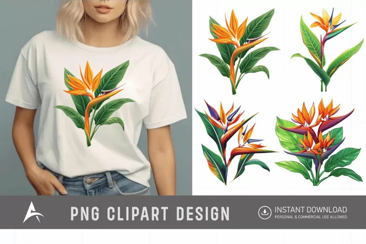 Watercolor Heliconia Flower Plant Clipart