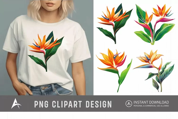 Watercolor Heliconia Flower Plant Clipart