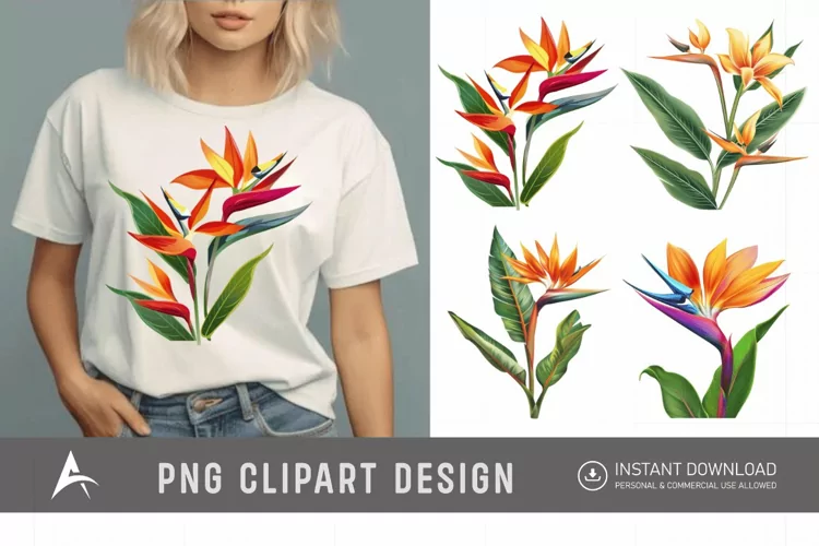 Watercolor Heliconia Flower Plant Clipart