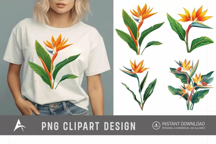 Watercolor Heliconia Flower Plant Clipart