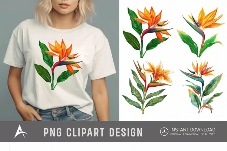 Watercolor Heliconia Flower Plant Clipart