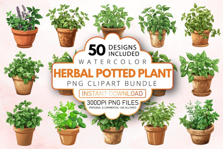 Potted Plants Png Image 12