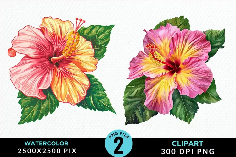 Watercolor Hibiscus Flowers Artwork Clipart