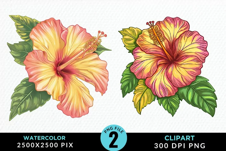 Watercolor Hibiscus Flowers Artwork Clipart
