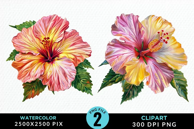 Watercolor Hibiscus Flowers Exquisite Clipart