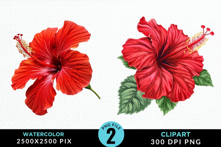 Hawaiian Flowers Clipart Image 8