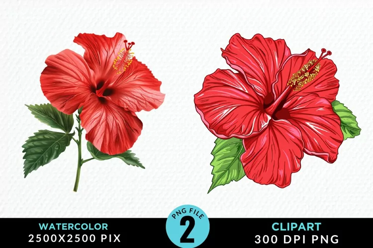 Watercolor Hibiscus Flowers Artwork Clipart