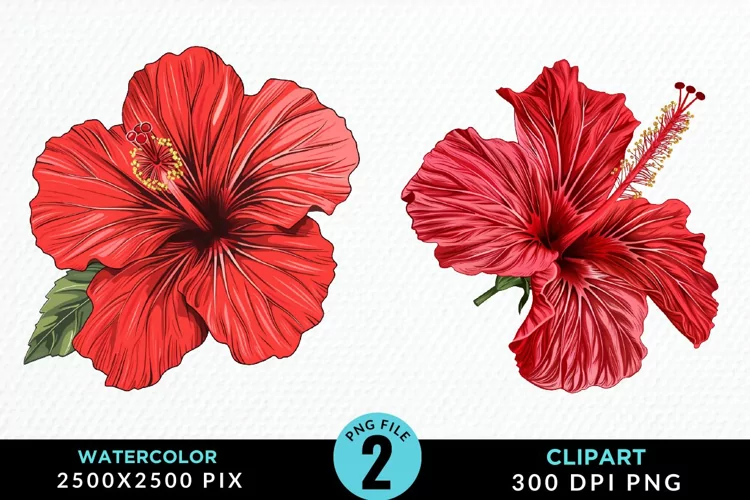 Watercolor Hibiscus Flowers Artwork Clipart