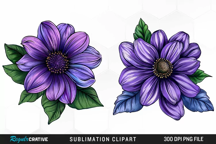 Watercolor Hibiscus Flowers Graphics Clipart