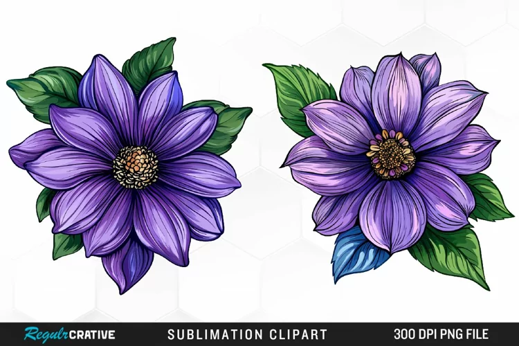 Watercolor Hibiscus Flowers Graphics Clipart
