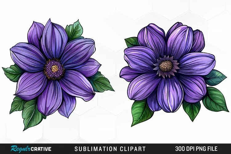 Watercolor Hibiscus Flowers Graphics Clipart