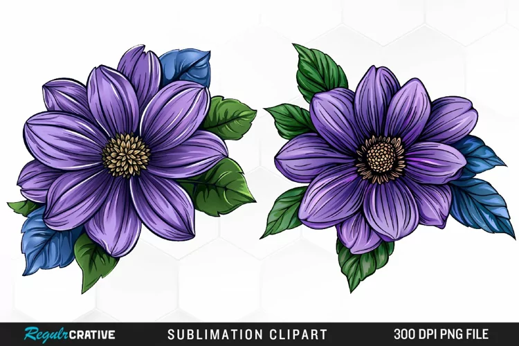 Watercolor Hibiscus Flowers Graphics Clipart