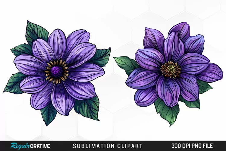 Watercolor Hibiscus Flowers Graphics Clipart