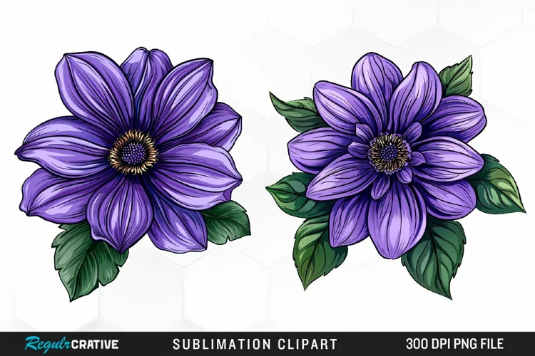 Watercolor Hibiscus Flowers Graphics Clipart