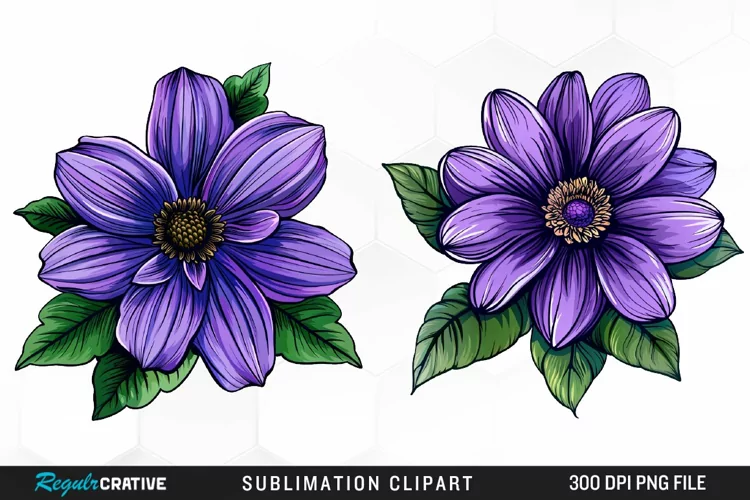 Watercolor Hibiscus Flowers Graphics Clipart