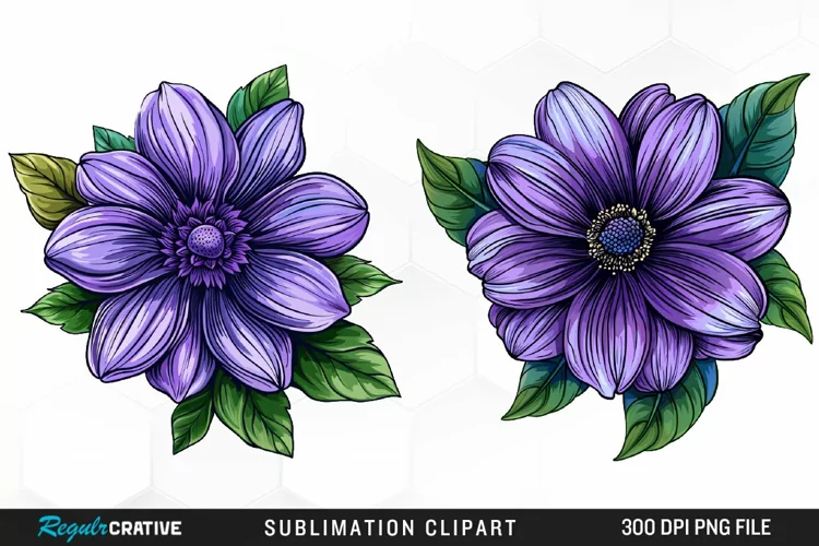 Watercolor Hibiscus Flowers Artwork Clipart