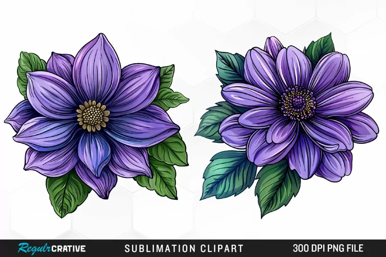 Watercolor Hibiscus Flowers Artwork Clipart