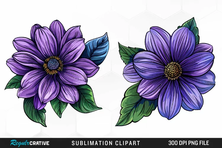Watercolor Hibiscus Flowers Graphics Clipart