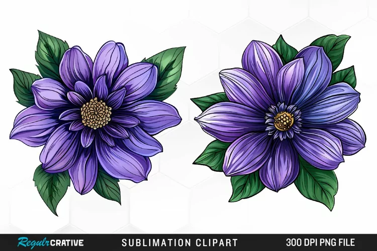 Watercolor Hibiscus Flowers Graphics Clipart