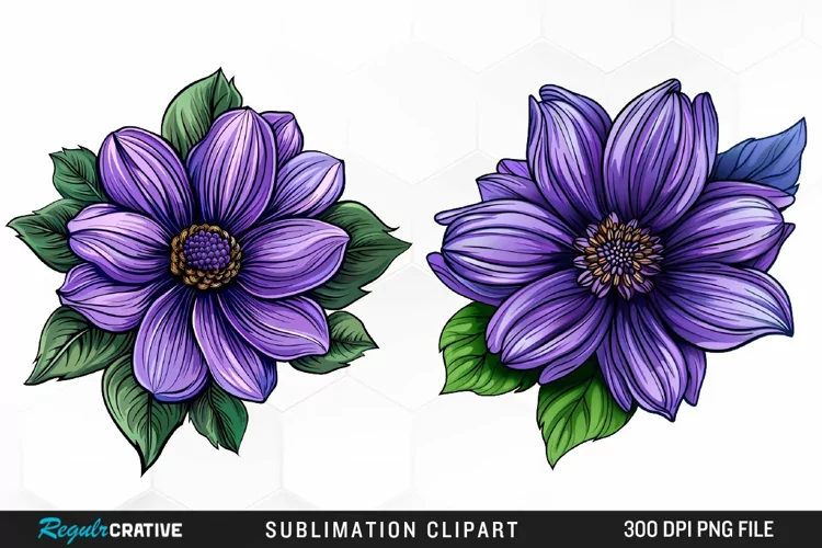 Watercolor Hibiscus Flowers Graphics Clipart