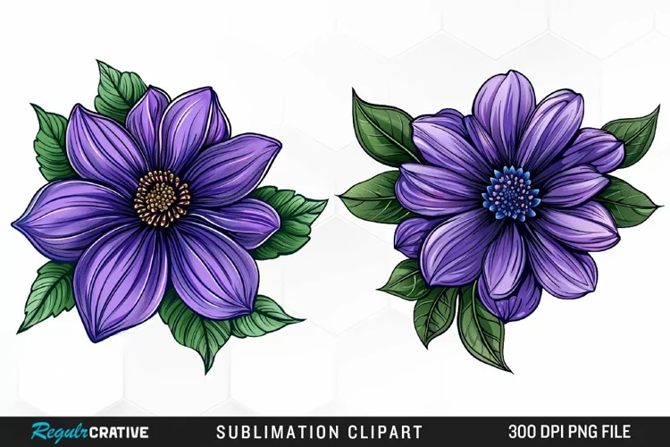 Watercolor Hibiscus Flowers Artwork Clipart