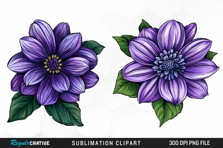 Watercolor Hibiscus Flowers Graphics Clipart