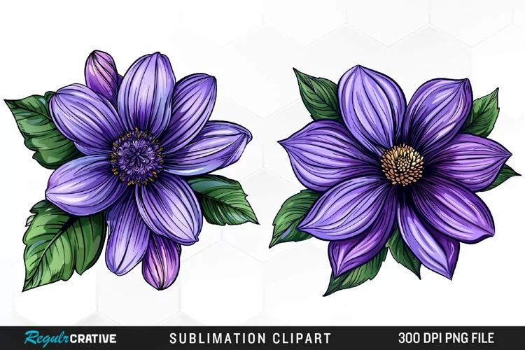 Watercolor Hibiscus Flowers Artwork Clipart