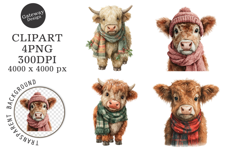 Watercolor Highland Cow Christmas Clipart