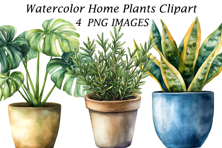 Watercolor Home Plants Clipart