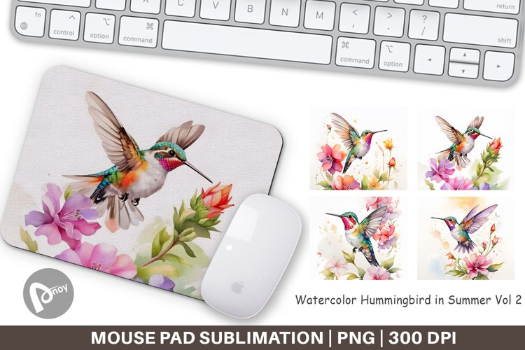 Hummingbird Png Image 10