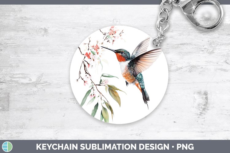 Hummingbird Clipart Image 10