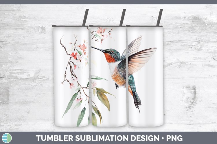 Hummingbird Clipart Image 24