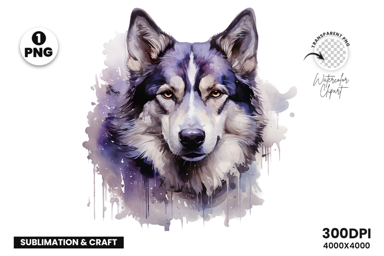 Watercolor Husky Dog Clipart PNG Sublimation Design