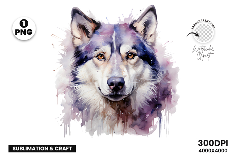 Watercolor Husky Dog Clipart PNG Sublimation Design