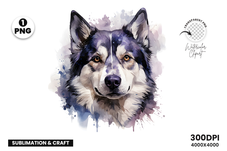watercolor husky clipart, husky dog png, husky sublimation design, dog clipart watercolor, siberian husky art png, husky printable download, pet lover sublimation, cute husky dog clipart, husky digital illustration, husky dog lover design