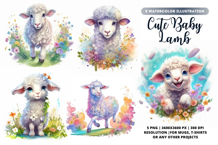 Lamb Illustration Image 12