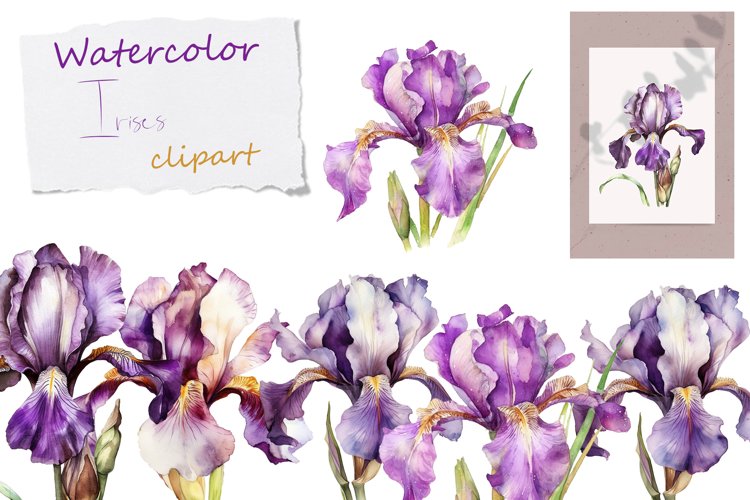 Watercolor flowers clipart, Floral Watercolor irises clipart example image 1