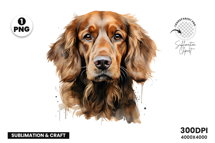 Watercolor Irish Setter Dog Clipart Sublimation Design PNG