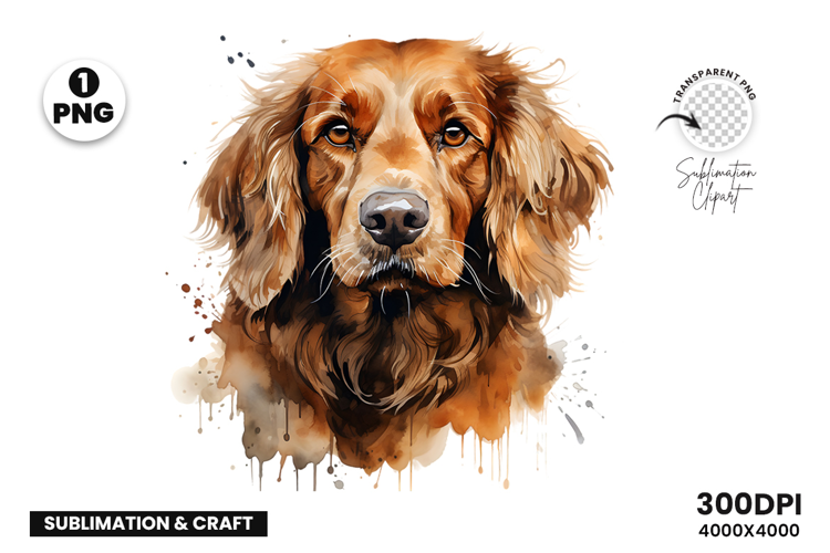 Watercolor Irish Setter Dog Clipart Sublimation Design PNG