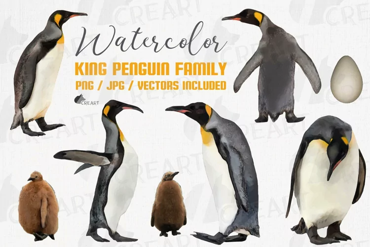 Watercolour King Penguin family. Antarctic animals decor.