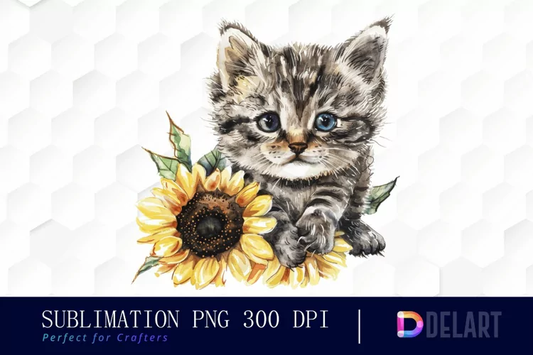 Kitten Sunflower PNG Clipart
