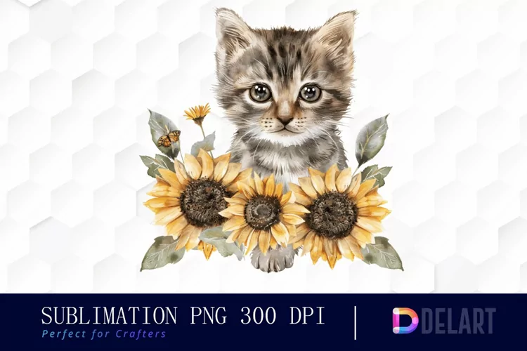 Kitten Sunflower Graphics Clipart