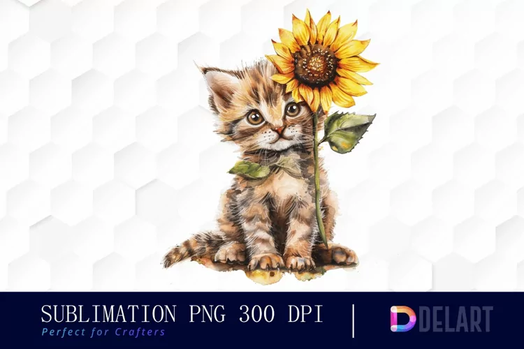 Kitten Sunflower PNG Clipart