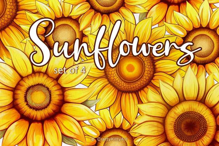 Watercolor Sunflower Clipart Image 17