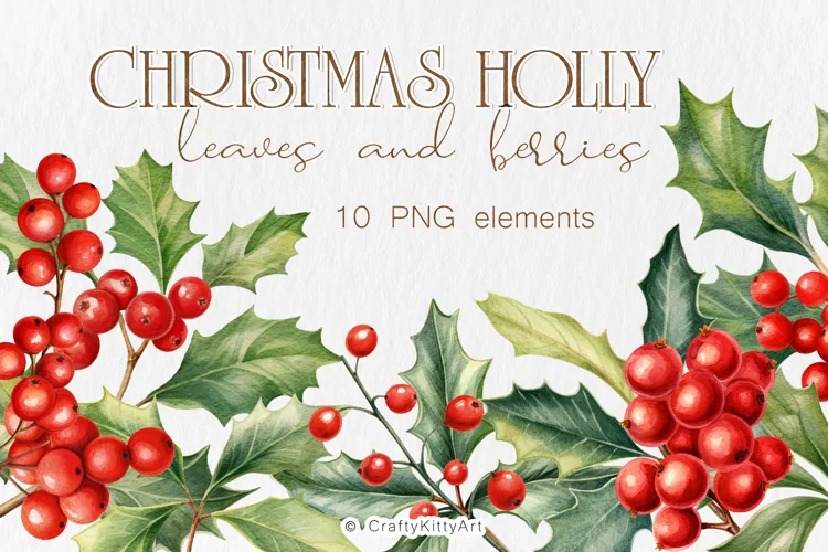Christmas Holly berries & leaves, Watercolor PNG clipart
