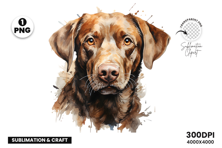 Watercolor Labrador Dog, Pet Art, Clipart, Digital Download