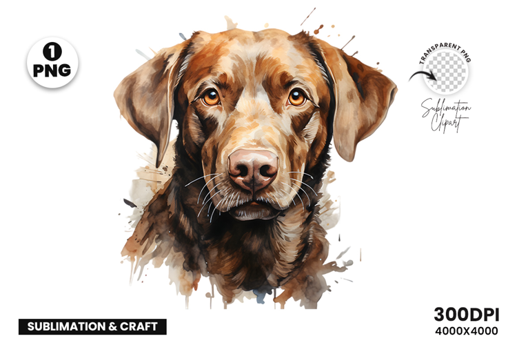 Watercolor Labrador Dog, Pet Art, Clipart, Digital Download