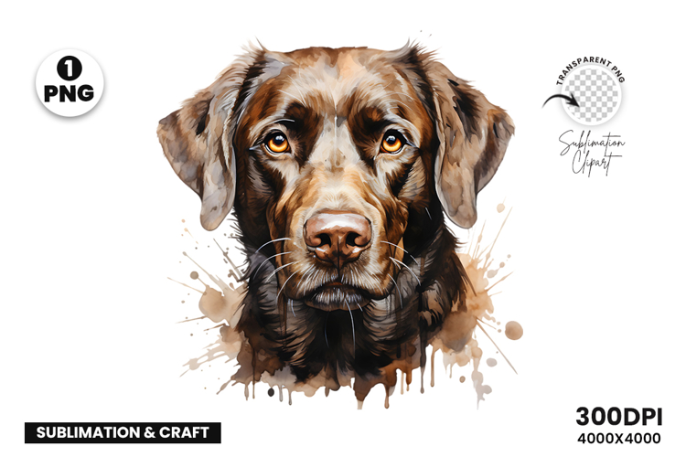 Watercolor Labrador Dog, Pet Art, Clipart, Digital Download
