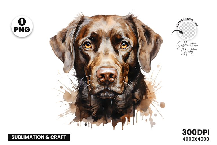 Watercolor Labrador Dog, Pet Art, Clipart, Digital Download